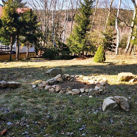 فيلا Wojtowka 16 Lądek-Zdrój المظهر الخارجي الصورة