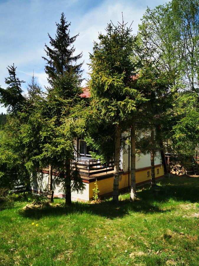 فيلا Wojtowka 16 Lądek-Zdrój المظهر الخارجي الصورة